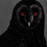 chrmy's profile picture