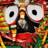 Kumar Jagdish's profile picture