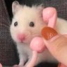 Profilbild von it’sLeBookMous