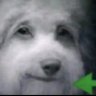 Profilbild von Semih