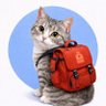 Фото профиля jaypark🎒