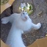 çakırbey's profile picture