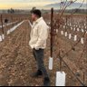Eduardo's profile picture