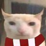 Jack Cook's profile picture
