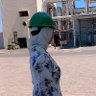 Hadeer El Sanhori profil fotoğrafı