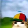 Lux harriton's profile picture