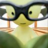 aelia 🐝's profile picture