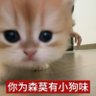 肆意王老吉's profile picture