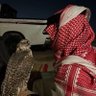 هوّجـاس profil fotoğrafı