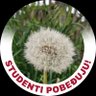 Maslacak15 profil fotoğrafı