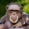 ع profil fotoğrafı