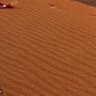 ناصر's profile picture