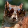 Jim Bob's profile picture