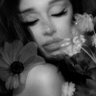 petal ꕤ 的头像