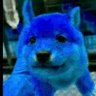 Happy profil fotoğrafı