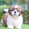 อุนอา🍳💜🐶 “ฉันเป็นบุคคล Friendly🙄“'s profile picture