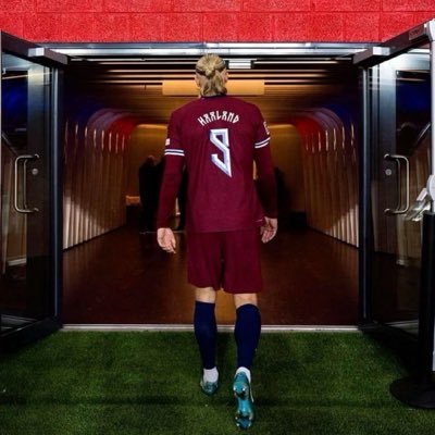 LiberezChaoui's profile picture
