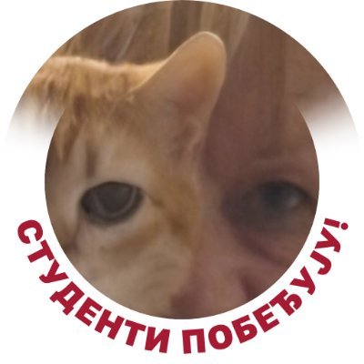 Natalija Sibinić's profile picture