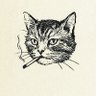 رعد's profile picture