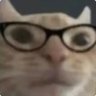 Profilbild von cat