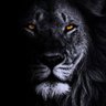 Samuel's profile picture