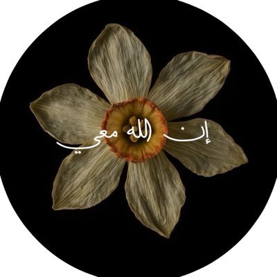 رنـــا 𓂀's profile picture