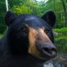 aceofwhat's profile picture