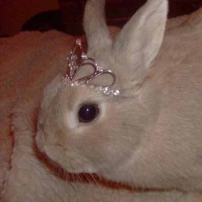 godspeedangel_'s profile picture