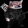 B O N K🦩🦝🇬🇧🇺🇲🏴‍☠️🇺🇦🇷🇴🇵🇱 profil fotoğrafı