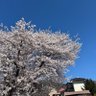 感想文 profil fotoğrafı