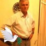 Sinan Sekizcan's profile picture