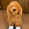 サイコ鰆 的头像