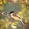 Profilbild von Nancy Mom