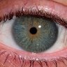 ℒ profil fotoğrafı
