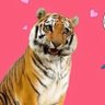 Jude Alexander's profile picture