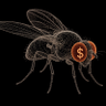 Profilbild von Fruit fly fefe