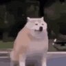 Profilbild von IM SEEING OLIVIA