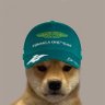 Cetropalo's profile picture