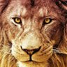 Profilbild von AZAT