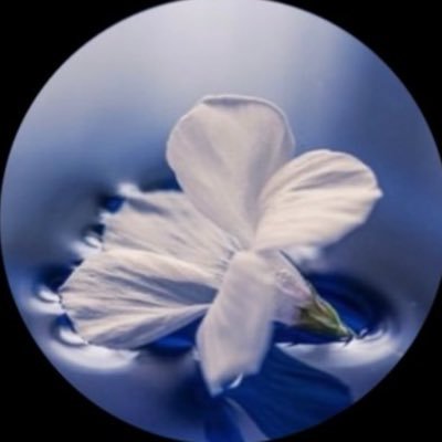 nao302198765's profile picture