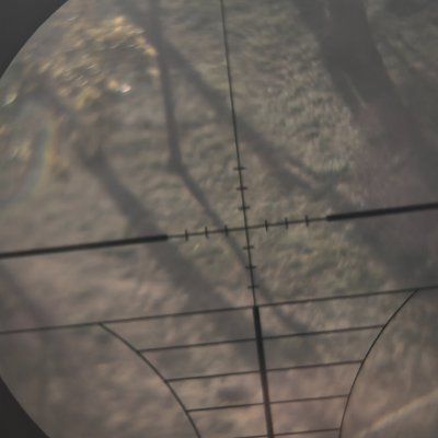 cartmanyang's profile picture