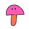 Profilbild von kisi