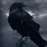 Raven's profile picture