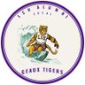 LSU Alumni SoCal profil fotoğrafı