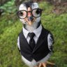 otan♦️🫎(❖,❖)🚢's profile picture