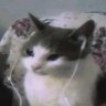 m4rs ;3 profil fotoğrafı