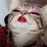 TP's profile picture