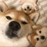 madhavan 的头像