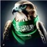 Saudi Falcon's profile picture