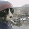 Amanda's profile picture